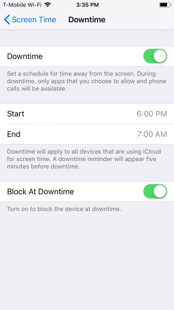 Menu for Downtime feature in Screen Time on iOS 12