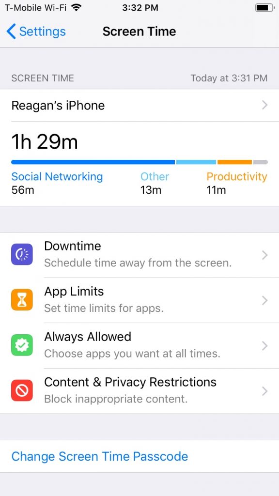 The Screen Time menu on iOS 12
