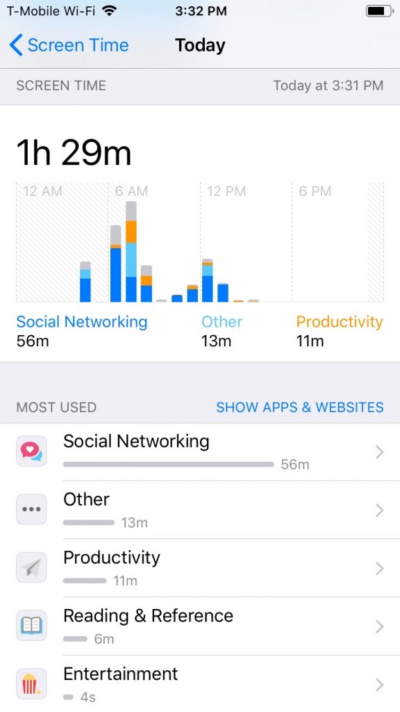 Screen Time dashboard on iOS 12