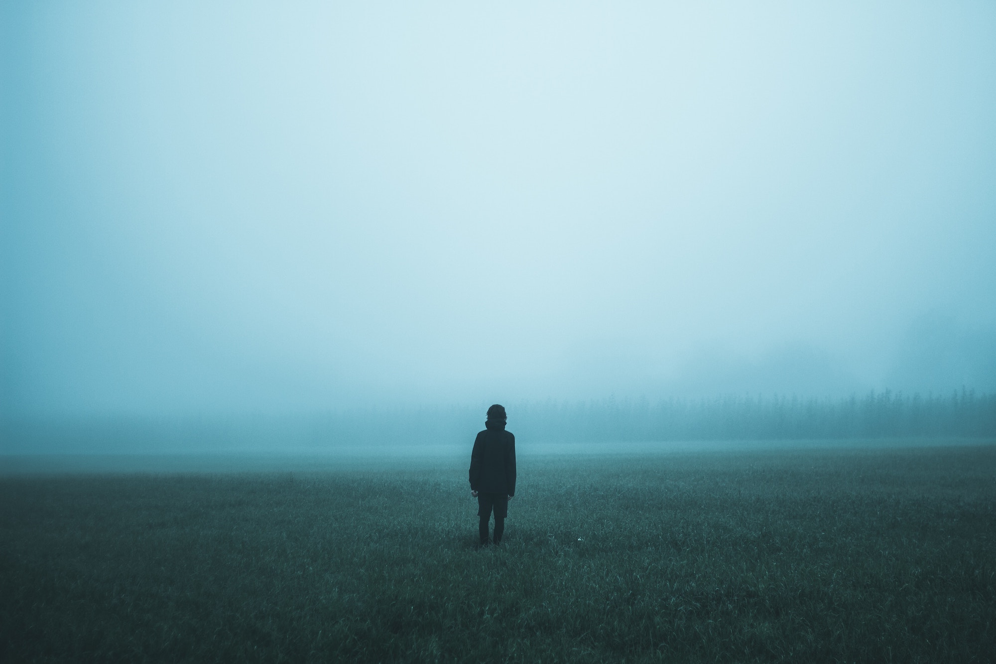 person standing in foggy field